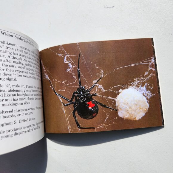 6 Field Guides Book Bundle Guide Books Reference Nature Trees Mammals Geology In - Picture 14 of 16